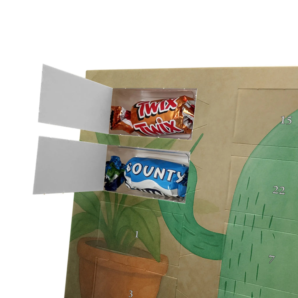  Kaktus gniew Design Kaktusy