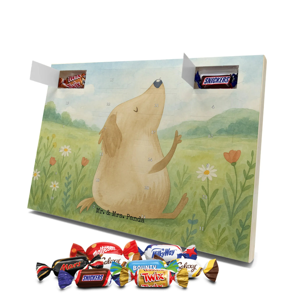 Adventskalender Hund Liebe Design Schoko Adventskalender, Weihnachtskalender, advent kalender, Adventskalender Schokolade, Adventskalender, süßigkeiten adventskalender, Weihnachtskalender Schokolade, schokoladenkalender, schoko kalender, Schokoladen Adventskalender, adventskalender pralinen, schokolade adventskalender, süßigkeiten kalender, schokoladen kalender, schokokalender, schoko weihnachtskalender, adventskalender süßigkeiten, kalender schokolade, weihnachtskalender schoko, adventskalender mit schokolade, adventskalender mit süßigkeiten, pralinen adventskalender, adventskalender mit pralinen, Hund, Sprüche, Hunderasse, Tierliebhaber, Hundebesitzer, Haustier, Hundemotiv, Hunde, Hundeglück, Liebe, Hundeliebe, Frauchen