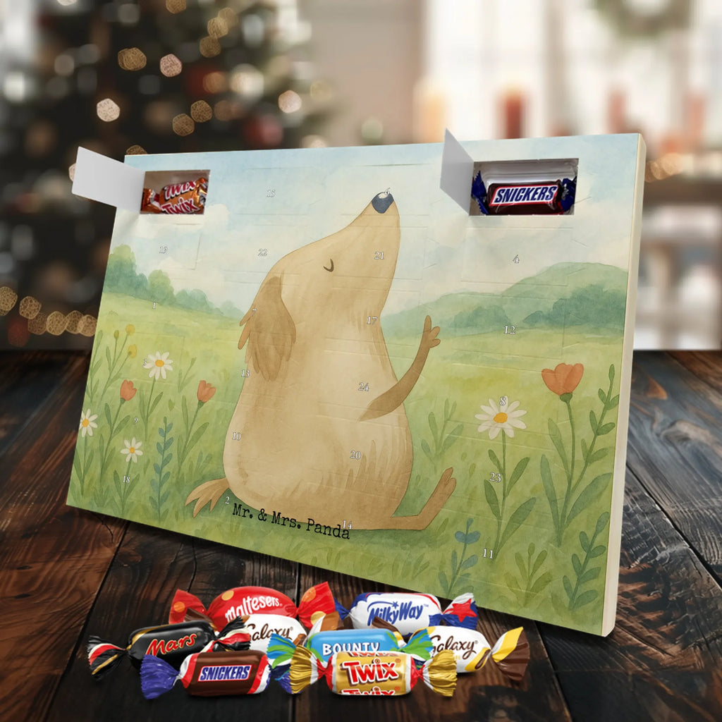 Adventskalender Hund Liebe Design Schoko Adventskalender, Weihnachtskalender, advent kalender, Adventskalender Schokolade, Adventskalender, süßigkeiten adventskalender, Weihnachtskalender Schokolade, schokoladenkalender, schoko kalender, Schokoladen Adventskalender, adventskalender pralinen, schokolade adventskalender, süßigkeiten kalender, schokoladen kalender, schokokalender, schoko weihnachtskalender, adventskalender süßigkeiten, kalender schokolade, weihnachtskalender schoko, adventskalender mit schokolade, adventskalender mit süßigkeiten, pralinen adventskalender, adventskalender mit pralinen, Hund, Sprüche, Hunderasse, Tierliebhaber, Hundebesitzer, Haustier, Hundemotiv, Hunde, Hundeglück, Liebe, Hundeliebe, Frauchen