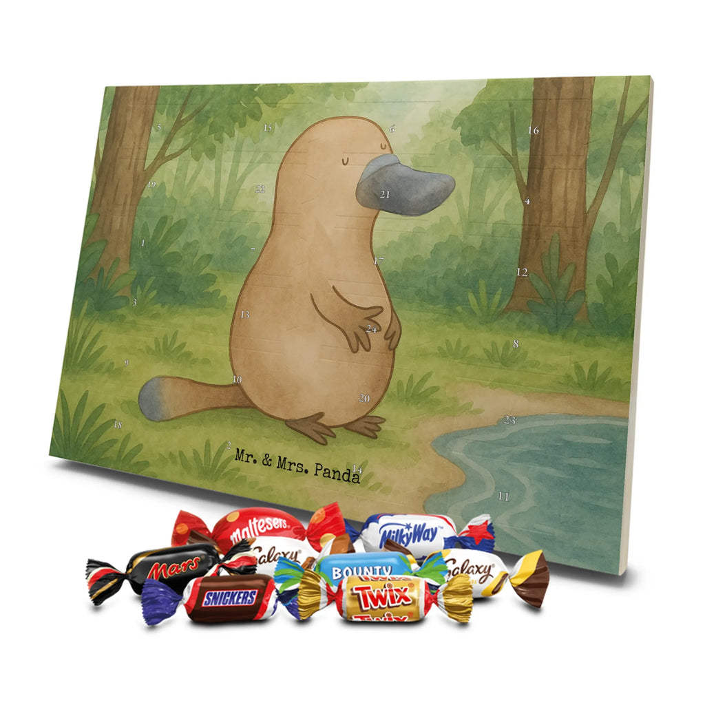 Schoko Adventskalender Schnabeltier Mut Design schokoladen kalender, schokoladenkalender, adventskalender mit süßigkeiten, Schokoladen Adventskalender, süßigkeiten kalender, adventskalender mit schokolade, Adventskalender, Weihnachtskalender Schokolade, schokokalender, pralinen adventskalender, adventskalender süßigkeiten, süßigkeiten adventskalender, schokolade adventskalender, kalender schokolade, Weihnachtskalender, weihnachtskalender schoko, Schoko Adventskalender, adventskalender mit pralinen, Adventskalender Schokolade, schoko kalender, advent kalender, schoko weihnachtskalender, adventskalender pralinen, Meerestiere, Urlaub, Meer, Arbeit, Neustart, Weltreise, Büro, mutig, Schnabeltiere, Lebensweisheit, Training, Motivation, Neuanfang, Raodtrip, Schnabeltier, Mut