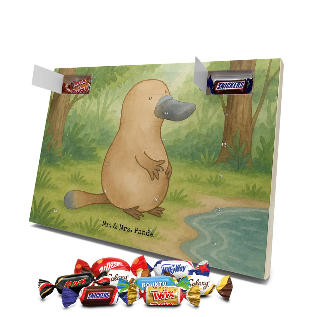 Schoko Adventskalender Schnabeltier Mut Design schokoladen kalender, schokoladenkalender, adventskalender mit süßigkeiten, Schokoladen Adventskalender, süßigkeiten kalender, adventskalender mit schokolade, Adventskalender, Weihnachtskalender Schokolade, schokokalender, pralinen adventskalender, adventskalender süßigkeiten, süßigkeiten adventskalender, schokolade adventskalender, kalender schokolade, Weihnachtskalender, weihnachtskalender schoko, Schoko Adventskalender, adventskalender mit pralinen, Adventskalender Schokolade, schoko kalender, advent kalender, schoko weihnachtskalender, adventskalender pralinen, Meerestiere, Urlaub, Meer, Arbeit, Neustart, Weltreise, Büro, mutig, Schnabeltiere, Lebensweisheit, Training, Motivation, Neuanfang, Raodtrip, Schnabeltier, Mut