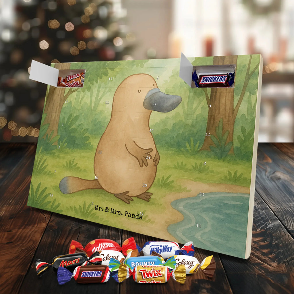 Schoko Adventskalender Schnabeltier Mut Design schokoladen kalender, schokoladenkalender, adventskalender mit süßigkeiten, Schokoladen Adventskalender, süßigkeiten kalender, adventskalender mit schokolade, Adventskalender, Weihnachtskalender Schokolade, schokokalender, pralinen adventskalender, adventskalender süßigkeiten, süßigkeiten adventskalender, schokolade adventskalender, kalender schokolade, Weihnachtskalender, weihnachtskalender schoko, Schoko Adventskalender, adventskalender mit pralinen, Adventskalender Schokolade, schoko kalender, advent kalender, schoko weihnachtskalender, adventskalender pralinen, Meerestiere, Urlaub, Meer, Arbeit, Neustart, Weltreise, Büro, mutig, Schnabeltiere, Lebensweisheit, Training, Motivation, Neuanfang, Raodtrip, Schnabeltier, Mut