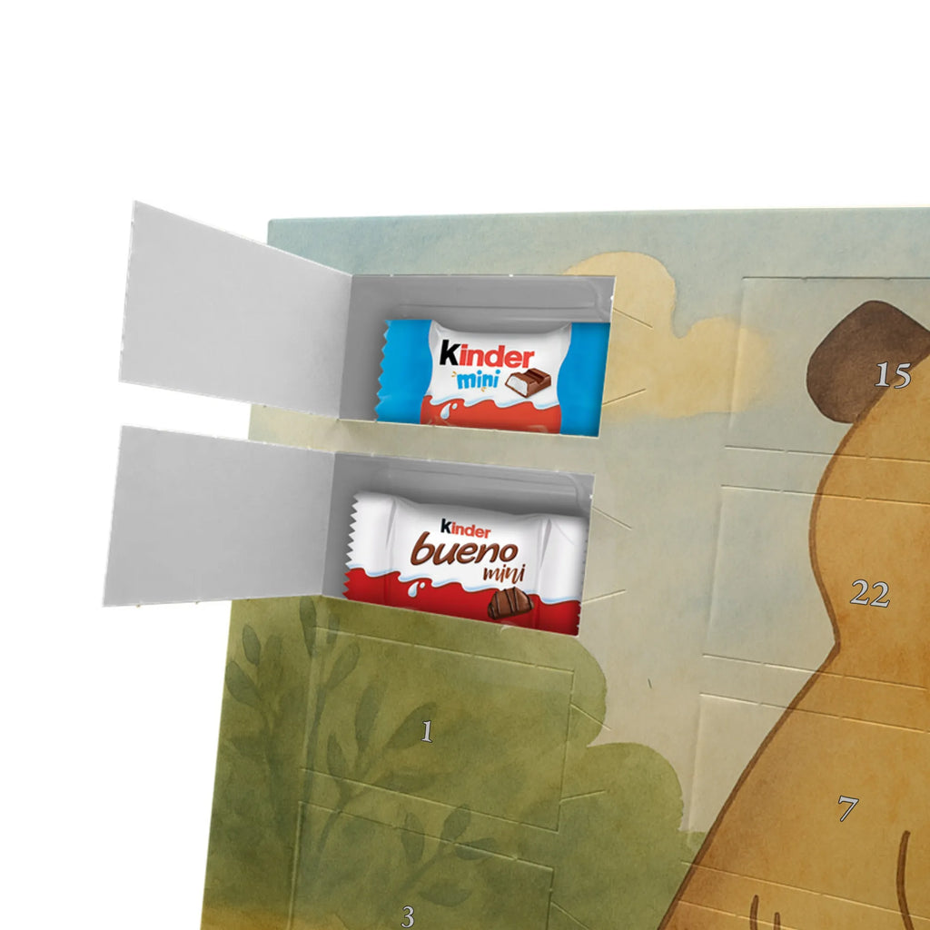 Chocolate advent calendar Meerkat Design Africa, Meerkat, Road trip, Africa trip, Saying, World trip, Travel