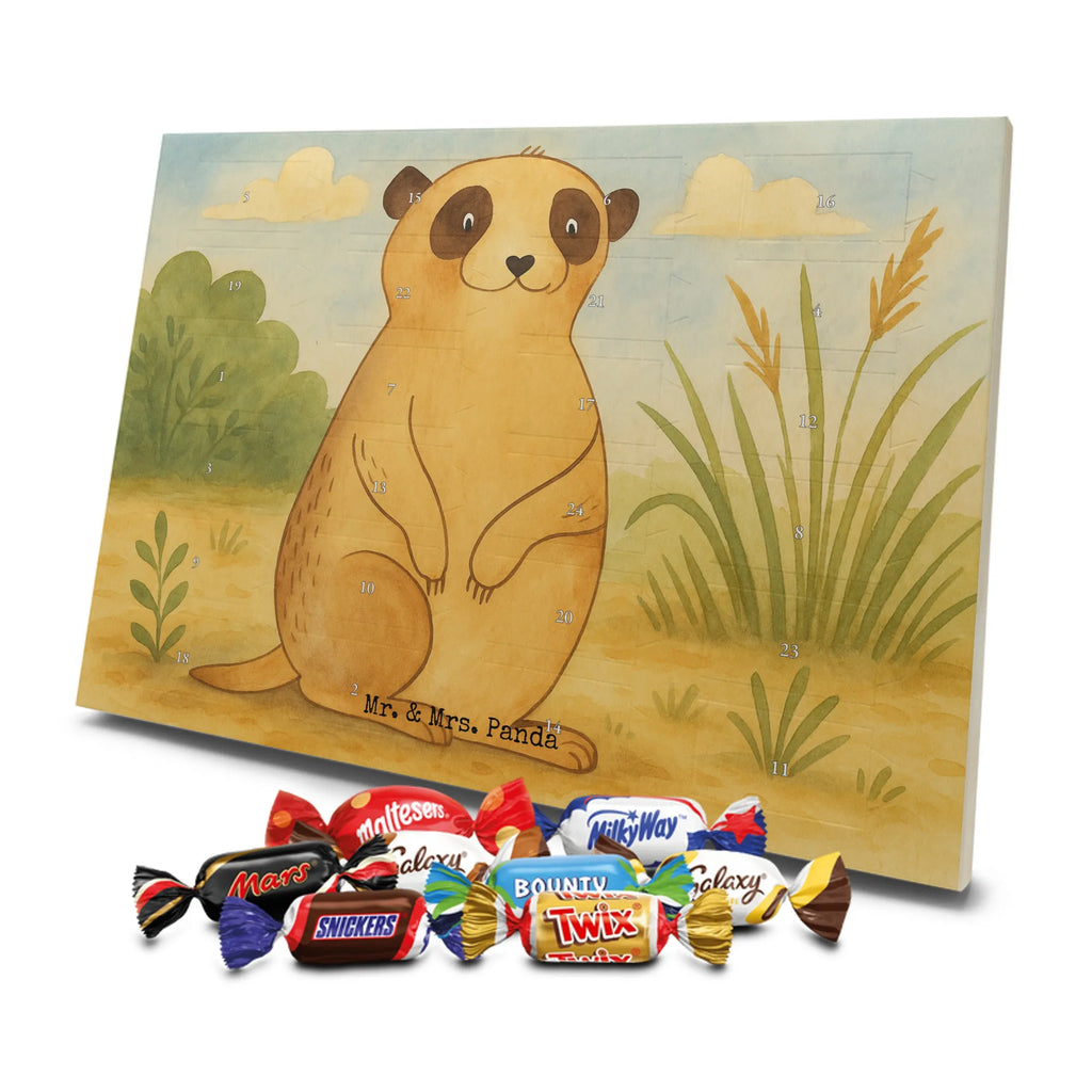 Chocolate advent calendar Meerkat Design Africa, Meerkat, Road trip, Africa trip, Saying, World trip, Travel