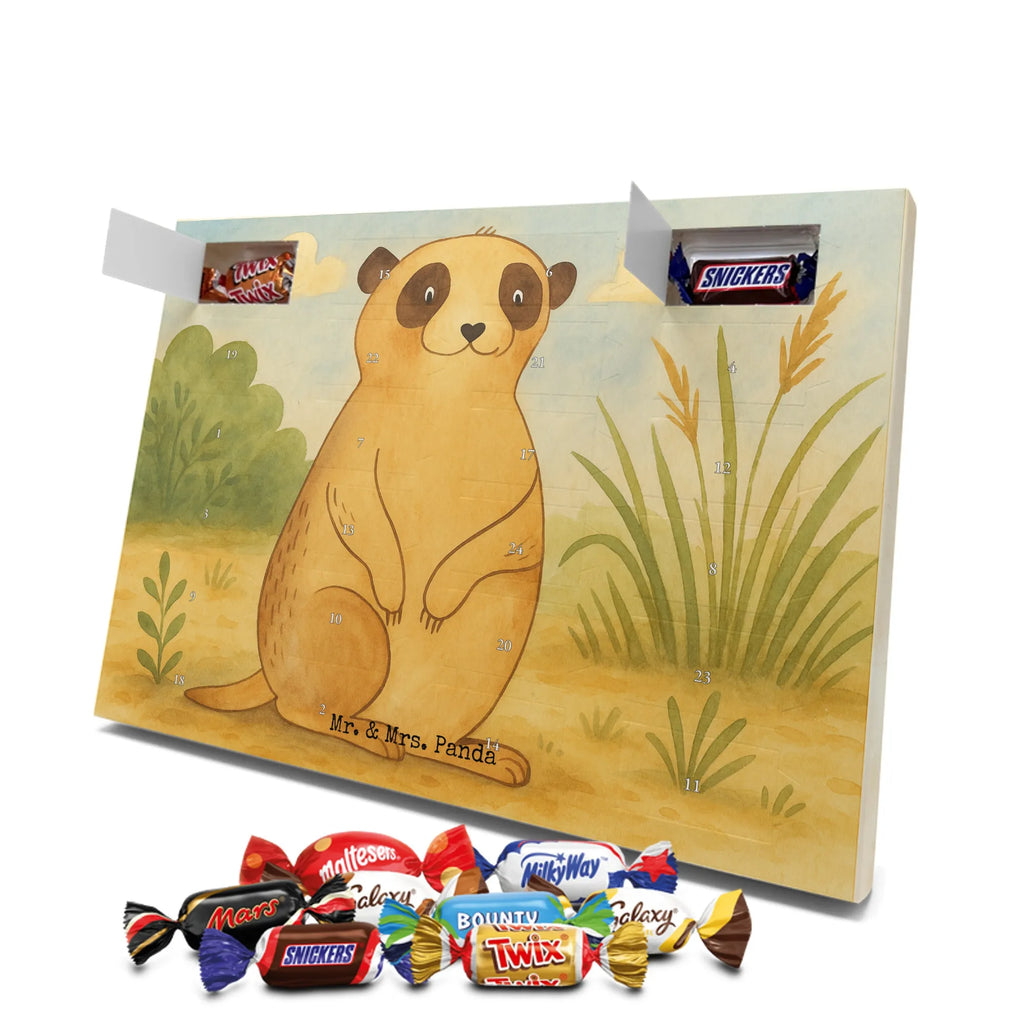 Chocolate advent calendar Meerkat Design Africa, Meerkat, Road trip, Africa trip, Saying, World trip, Travel