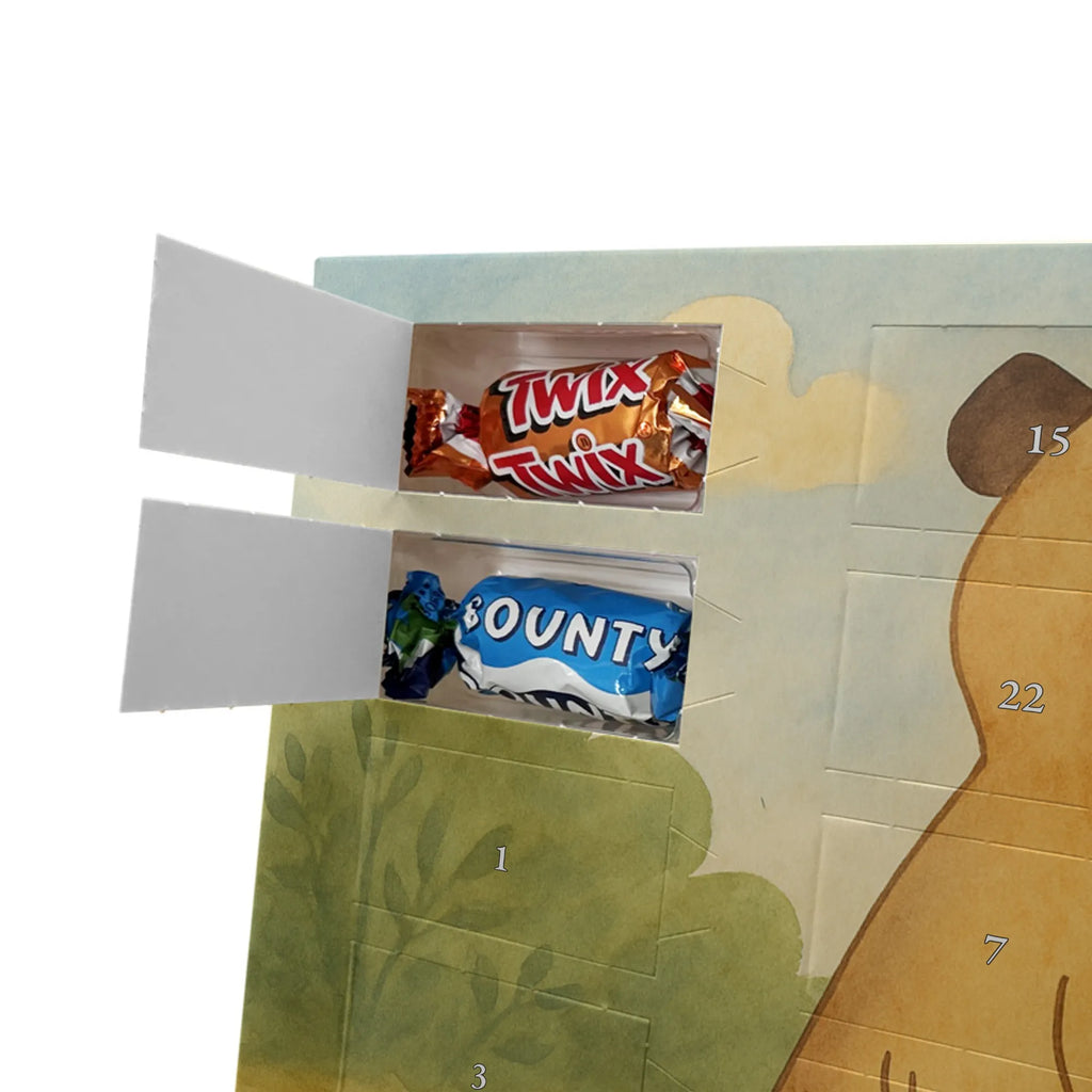 Chocolate advent calendar Meerkat Design Africa, Meerkat, Road trip, Africa trip, Saying, World trip, Travel