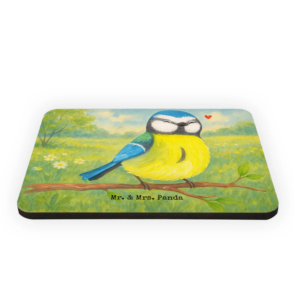 Magnet Vogel Blaumeise Design Kühlschrankmagnet, Notizhalter, Kalendermagnet, Pinnwandmagnet, Souvenir Magnet, Magnete Holz, Kühlschrank Dekoration, Motivmagnete, Whiteboard Magnet, Dekomagnet, Notiz Magnet, fridge magnet, Ostern, Osterdeko, Osterhase, Osternest, Ostergeschenke, Geschenke zu Ostern, Ostern Geschenk, Ostergeschenke Kinder, Ostern Kinder, Osterzeit, Frühlingsgefühle, Ostergrüße, liebe Grüße, Blaumeise, Frühling, Vogel