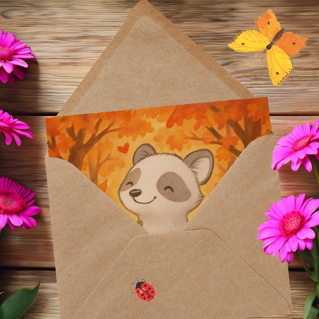 Deluxe Card Raccoon Pumpkin Design decoration, gifts, Martin singing, decor, giving
