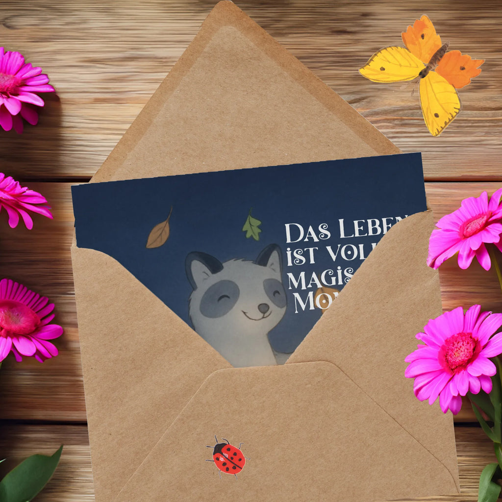 Deluxe Card Raccoon Lantern Design decoration, gifts, Martin singing, decor, giving