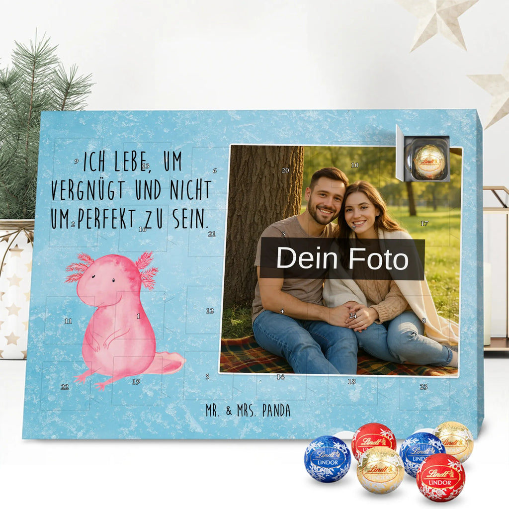  axolotl zero Axolotl, Axelotl, marine animals, Mexican walking fish, salamander, contented, girlfriend, love, wisdom, Axolot, happy, cheerful, worldly wisdom, lifestyle