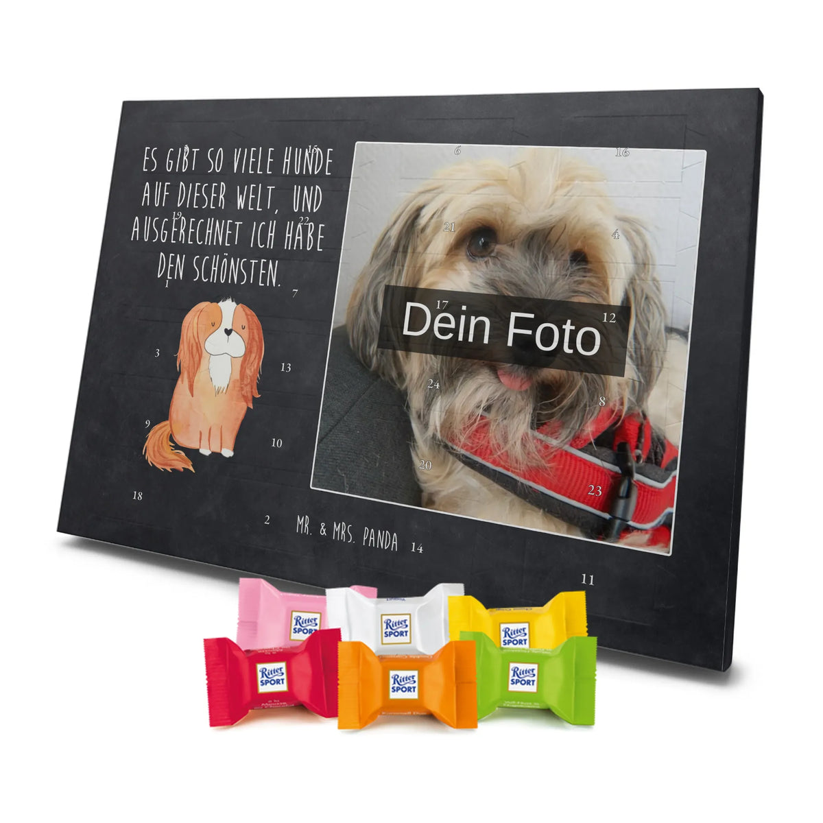  pies Cavalier King Charles Spaniel Pies, rasa psa, właściciel psa, miłośnik zwierząt, motyw psa, zwierzę domowe, powiedzenia