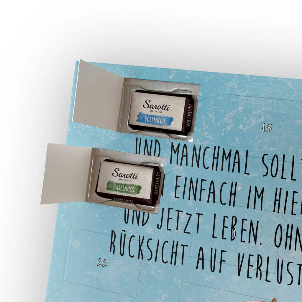  Jeżowiec Zwierzeta morskie, Morze, Wakacje