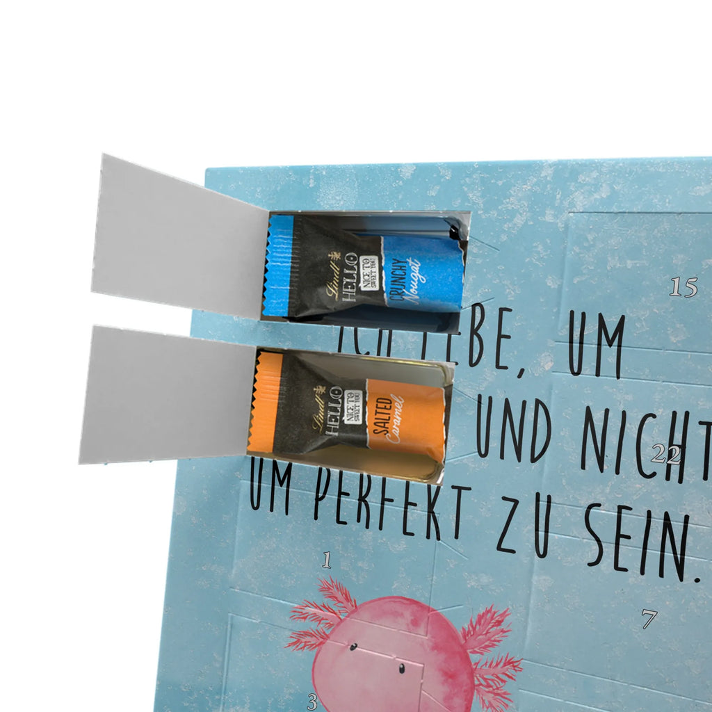  axolotl zero Axolotl, Axelotl, marine animals, Mexican walking fish, salamander, contented, girlfriend, love, wisdom, Axolot, happy, cheerful, worldly wisdom, lifestyle