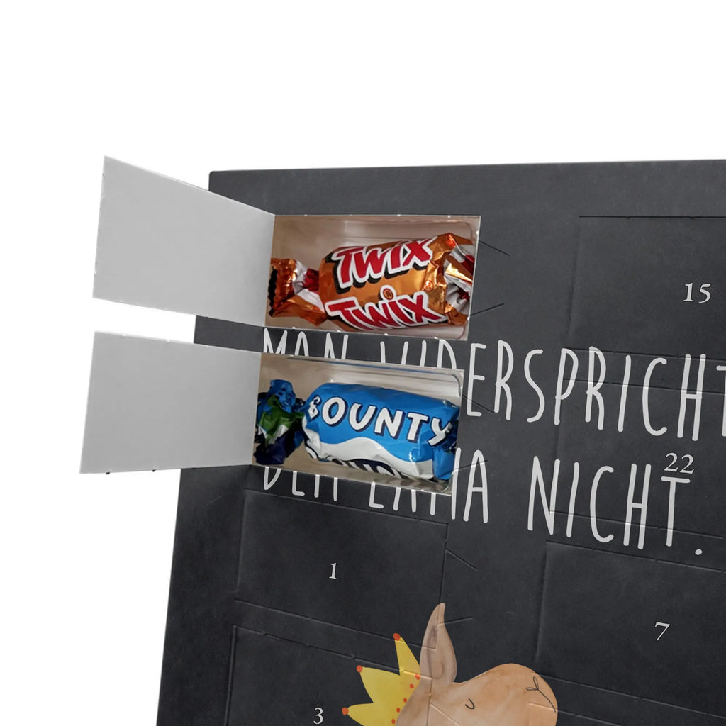  llama head king Llama, alpaca, trendy animal, supervisor, mum, king, girlfriend, high school graduation, office colleague, colleague