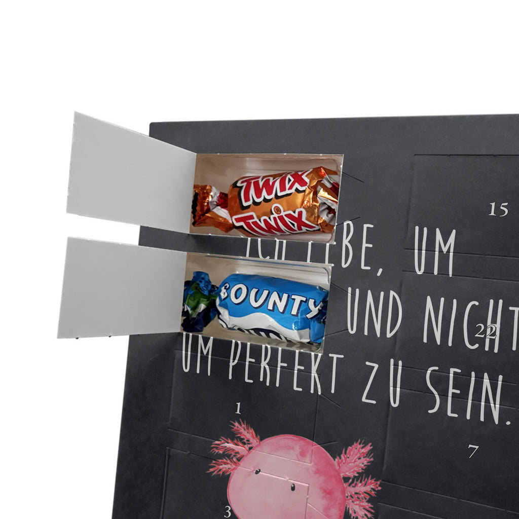  axolotl zero Axolotl, Axelotl, marine animals, Mexican walking fish, salamander, contented, girlfriend, love, wisdom, Axolot, happy, cheerful, worldly wisdom, lifestyle