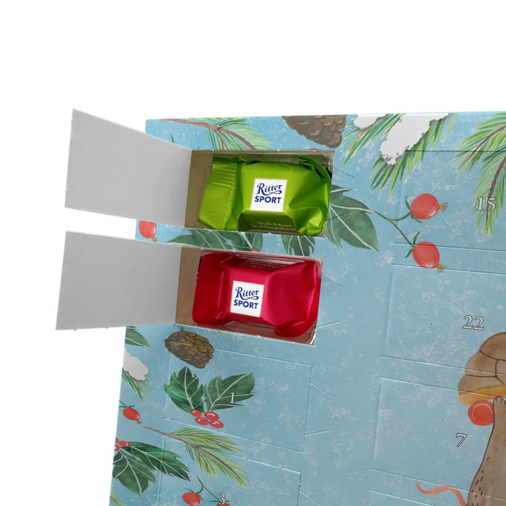  żółw mysz Skałka