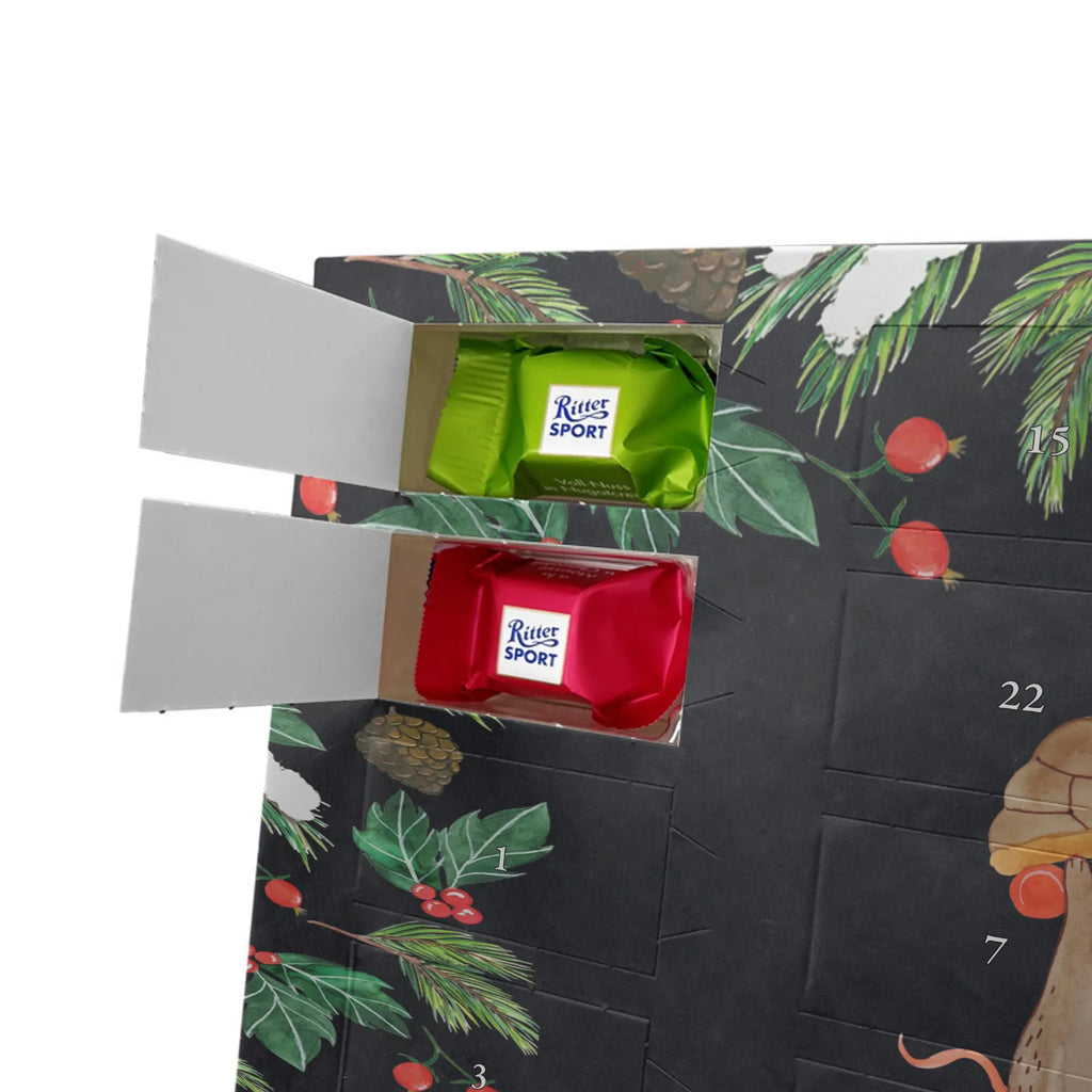  żółw mysz Skałka