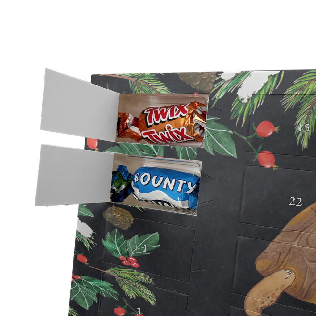 Personalisierter Schoko Adventskalender Schildkröte Marschieren Personalisierter Adventskalender, Adventskalender mit Namen, Urlaub, Meerestiere, Meer, Inspiration, Lieblingsmensch, Neustart, Reiselust, Schildkröten, Get Lost, Schildkröte, Motivation, Abenteuer