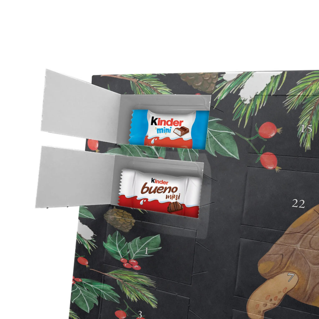 Personalisierter Schoko Adventskalender Schildkröte Marschieren Adventskalender mit Namen, Personalisierter Adventskalender, Urlaub, Meer, Meerestiere, Neustart, Schildkröten, Schildkröte, Motivation, Reiselust, Inspiration, Get Lost, Abenteuer, Lieblingsmensch