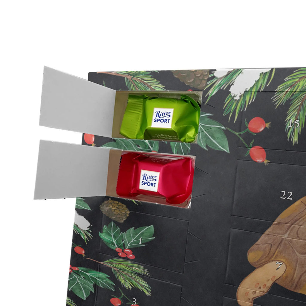 Personalisierter Schoko Adventskalender Schildkröte Marschieren Adventskalender mit Namen, Personalisierter Adventskalender, Urlaub, Meer, Meerestiere, Neustart, Schildkröten, Schildkröte, Motivation, Reiselust, Inspiration, Get Lost, Abenteuer, Lieblingsmensch