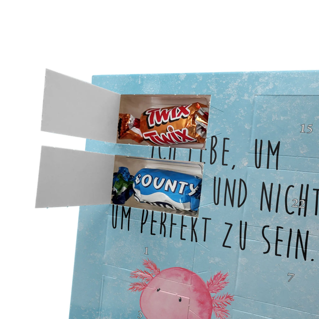  axolotl zero Axolotl, Axelotl, marine animals, Mexican walking fish, salamander, contented, girlfriend, love, wisdom, Axolot, happy, cheerful, worldly wisdom, lifestyle