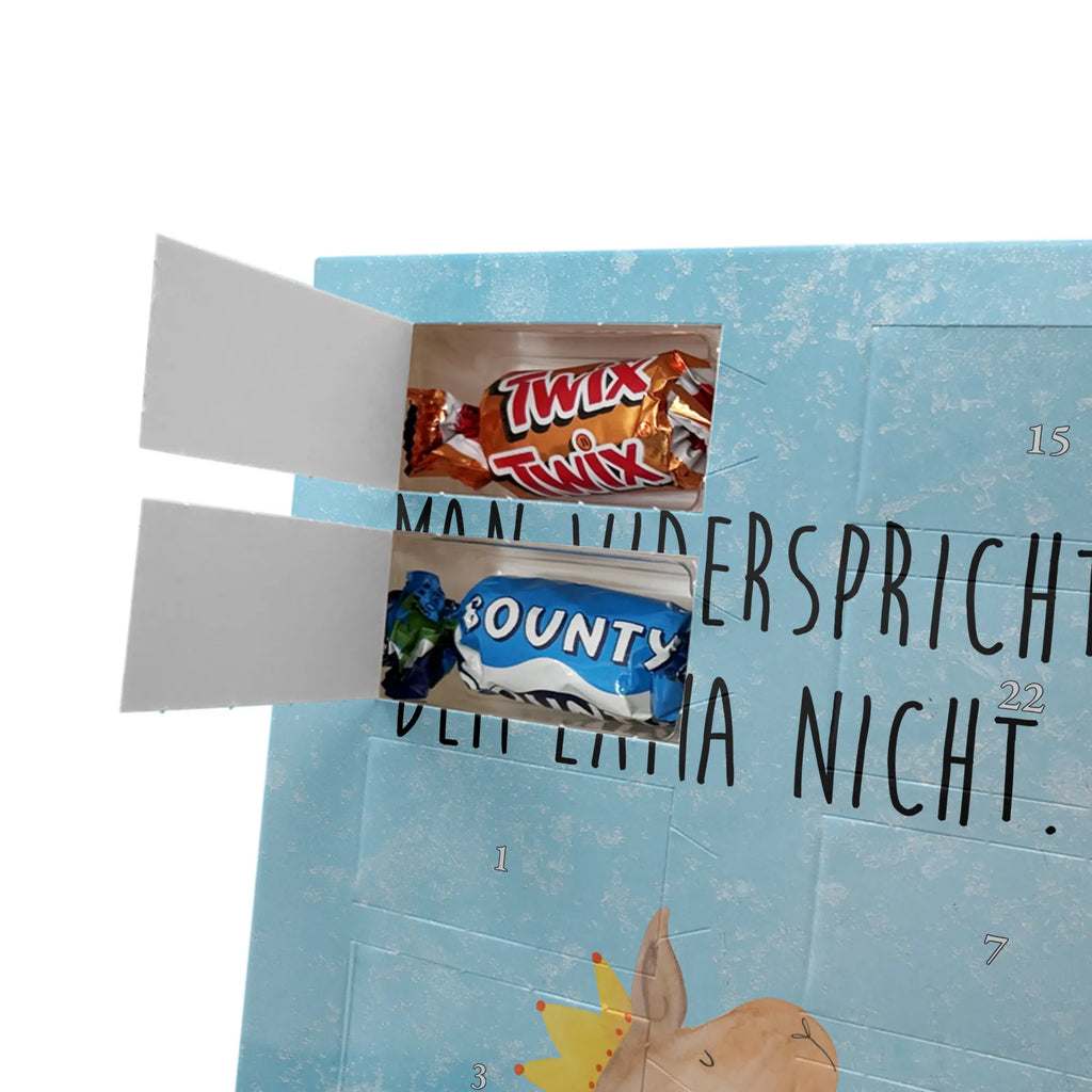  llama head king Llama, alpaca, trendy animal, supervisor, mum, king, girlfriend, high school graduation, office colleague, colleague