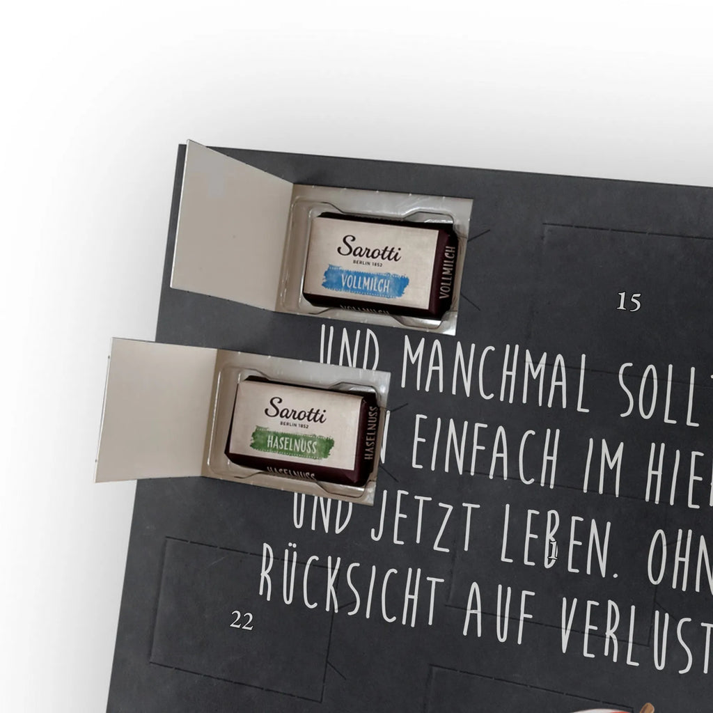  Jeżowiec Zwierzeta morskie, Morze, Wakacje