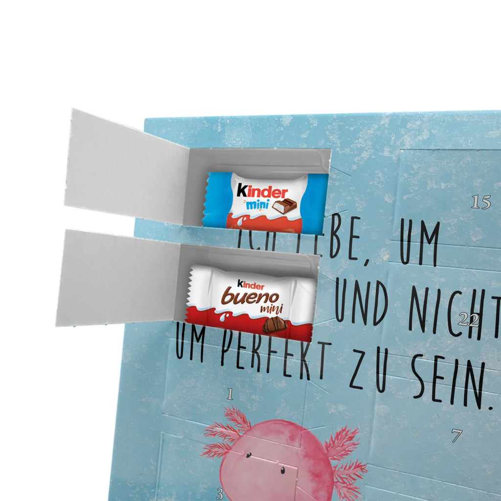  axolotl zero Axolotl, Axelotl, marine animals, Mexican walking fish, salamander, contented, girlfriend, love, wisdom, Axolot, happy, cheerful, worldly wisdom, lifestyle