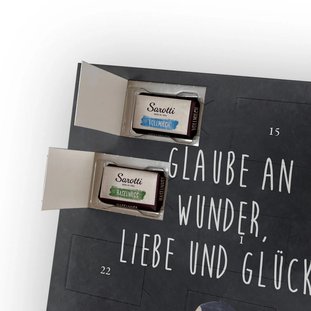  Penguin ladybug North Pole, Penguins, wonder, penguins, joy of life, joy, ladybird