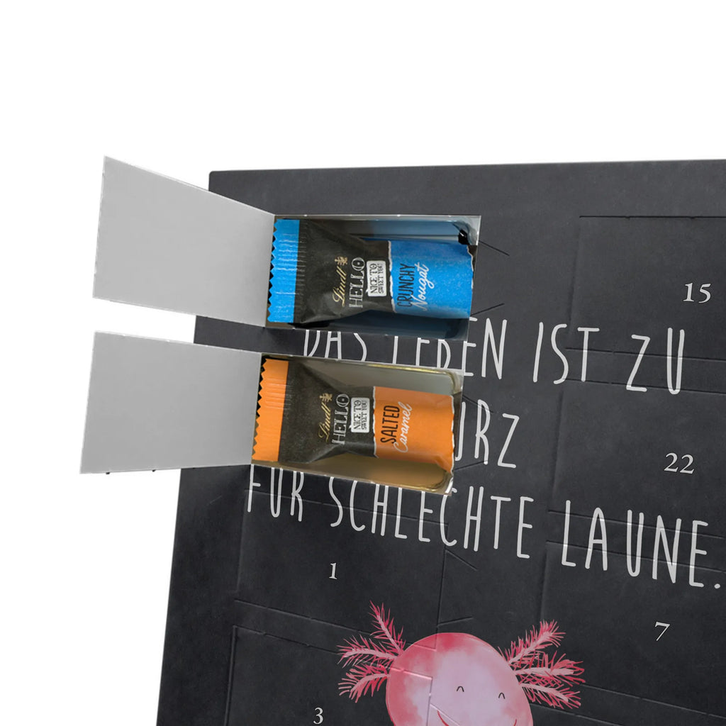  axolotl Happy Axolotl, Axelotl, marine animals, Mexican walking fish, salamander, motivation, good mood, tail, amphibian, axolotl, axolot