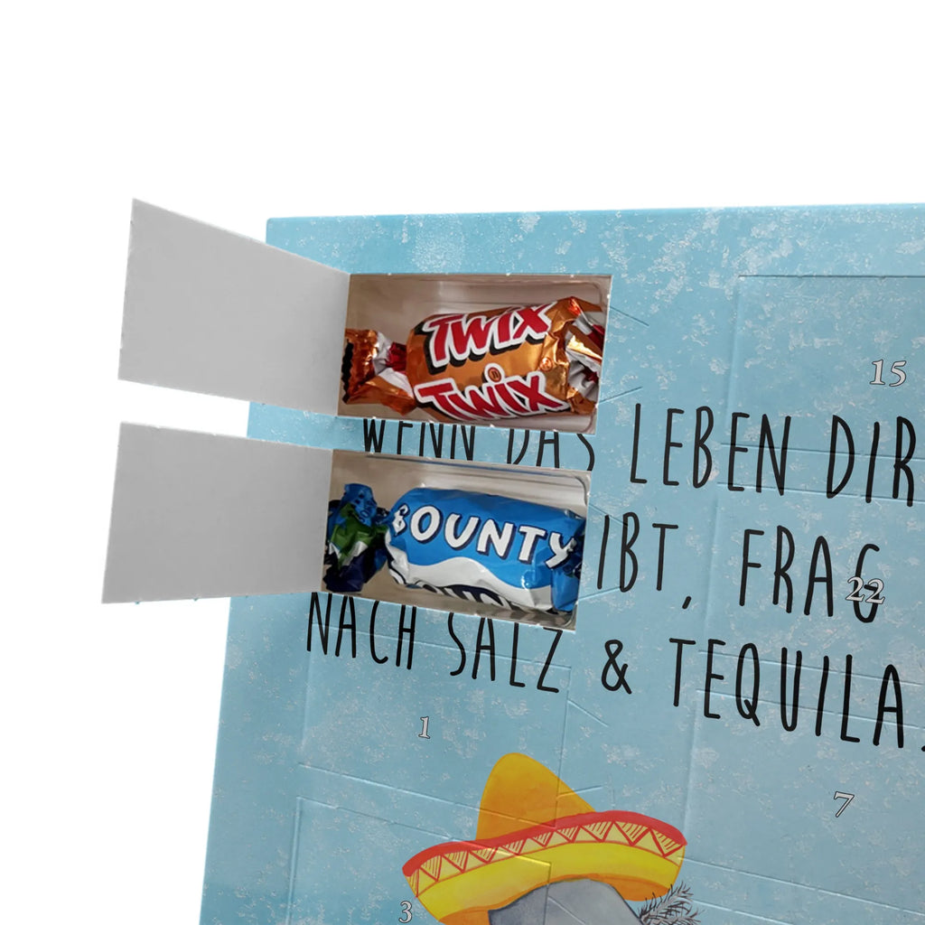  axolotl tequila Axolotl, Axelotl, marine animals, Mexican walking fish, salamander, Saying, Sombrero, Tail Lurch, Motivation, Fire Salamander, Axolot, Lemon, Mexico, Amphibian, Tequila, Fire Dragon