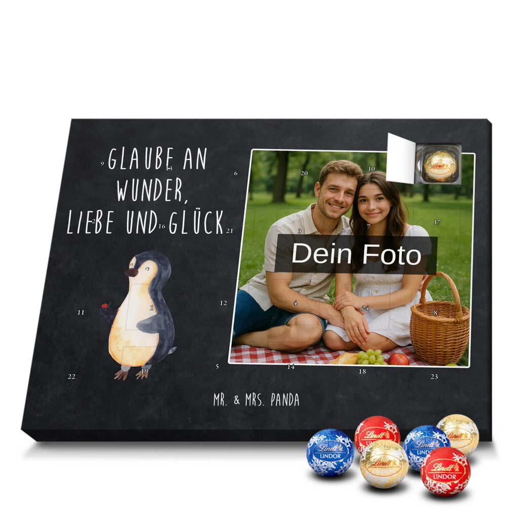  Penguin ladybug North Pole, Penguins, wonder, penguins, joy of life, joy, ladybird