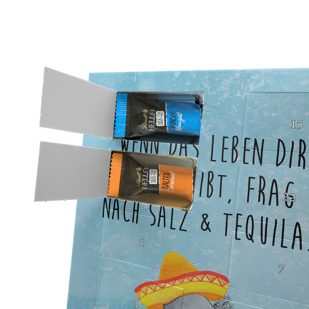  axolotl tequila Axolotl, Axelotl, marine animals, Mexican walking fish, salamander, Saying, Sombrero, Tail Lurch, Motivation, Fire Salamander, Axolot, Lemon, Mexico, Amphibian, Tequila, Fire Dragon