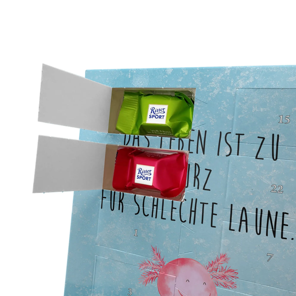  axolotl Happy Axolotl, Axelotl, marine animals, Mexican walking fish, salamander, motivation, good mood, tail, amphibian, axolotl, axolot