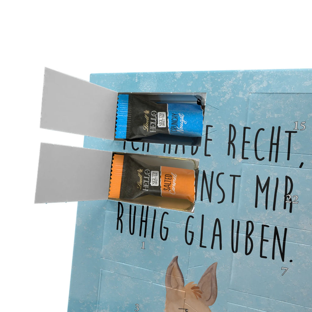  głowa lamy zirytowany Lama, Alpaka