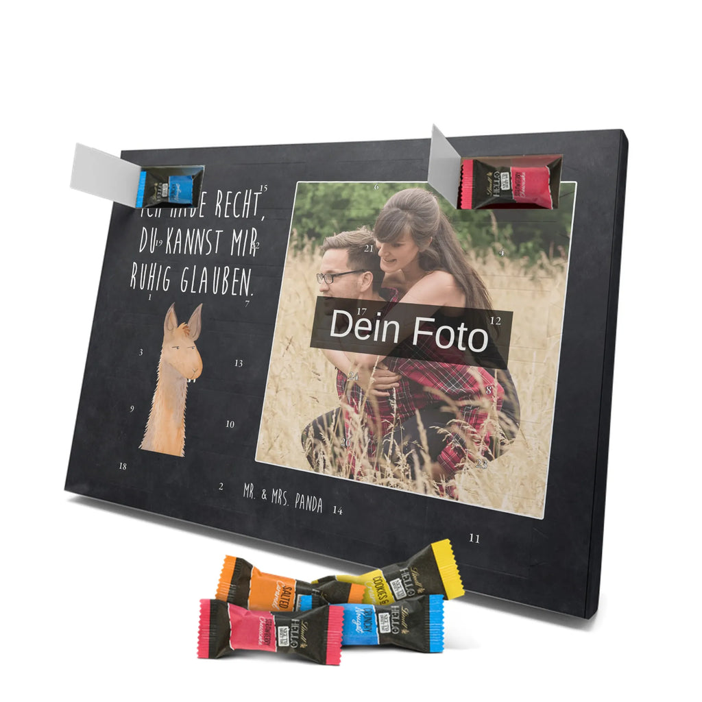  głowa lamy zirytowany Lama, Alpaka