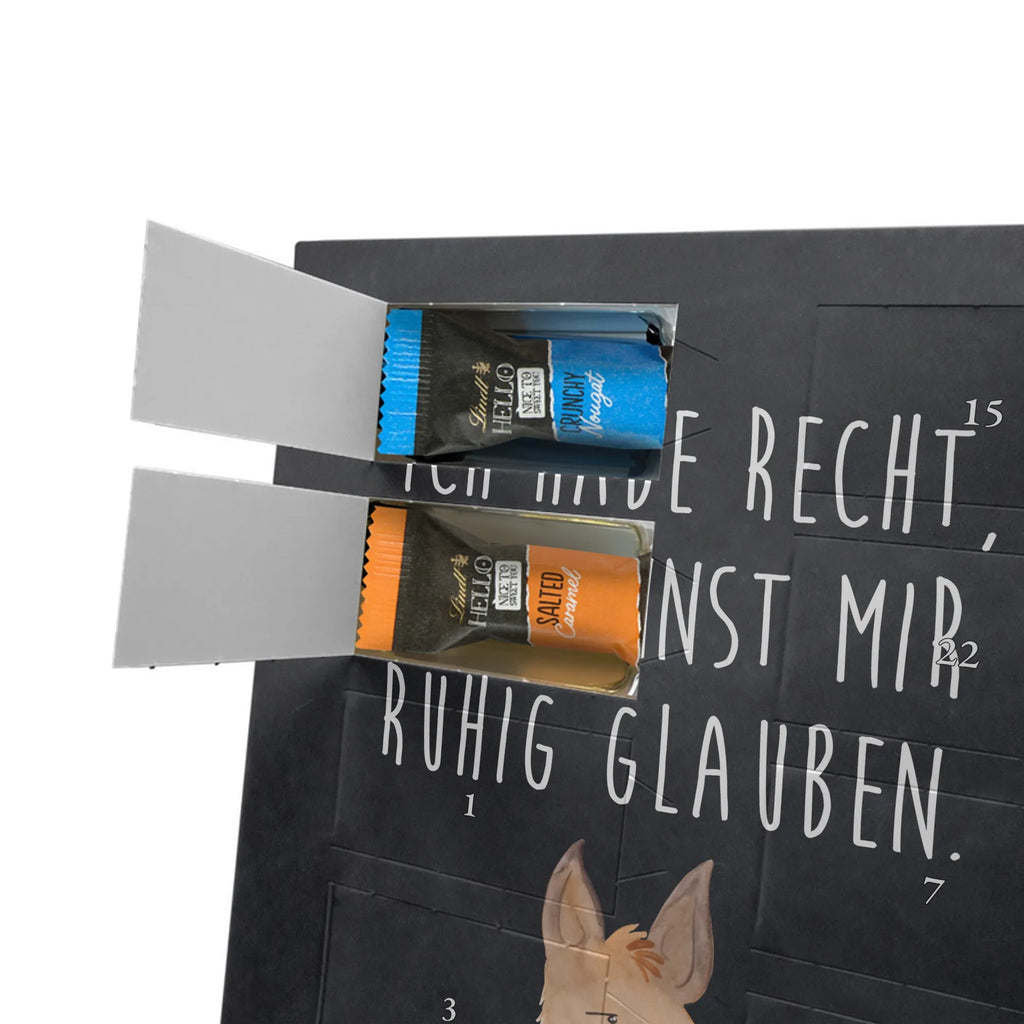  głowa lamy zirytowany Lama, Alpaka