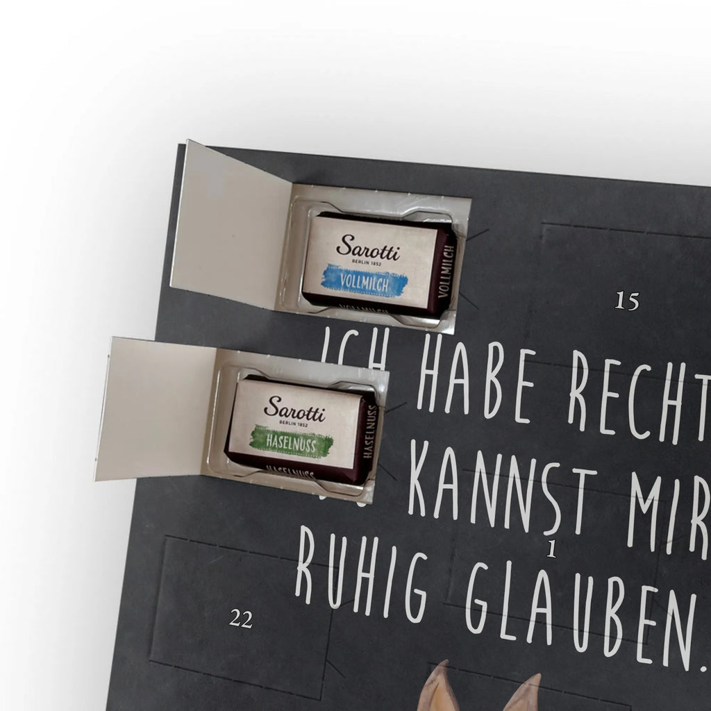  głowa lamy zirytowany Lama, Alpaka