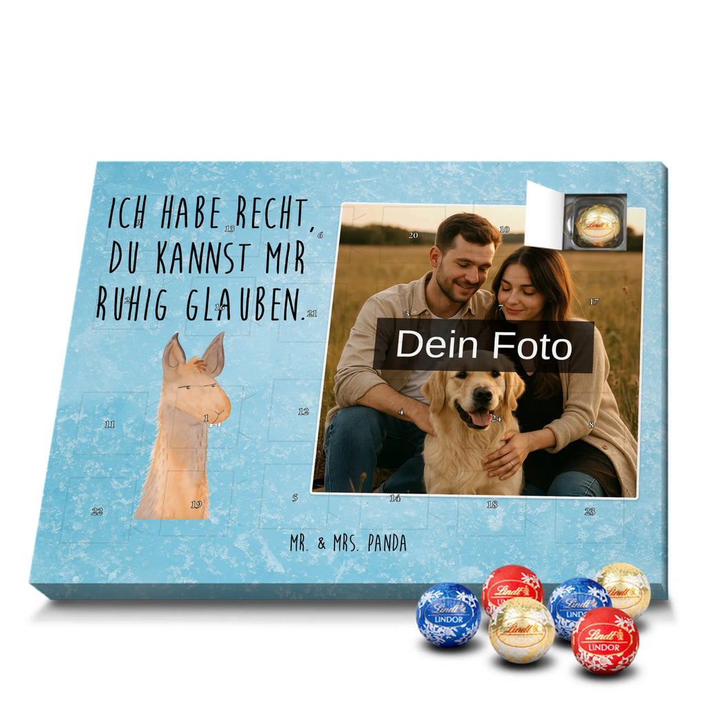  głowa lamy zirytowany Lama, Alpaka