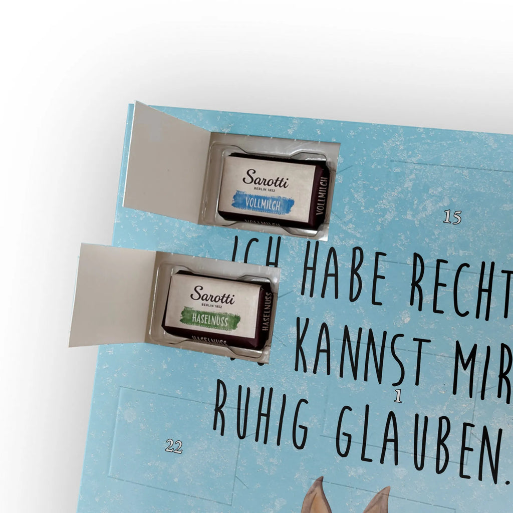  głowa lamy zirytowany Lama, Alpaka