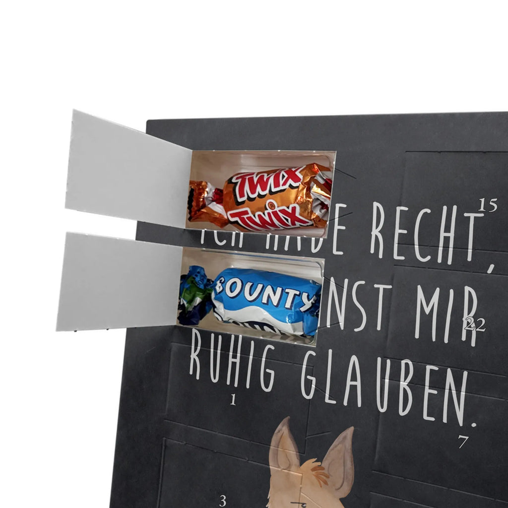  głowa lamy zirytowany Lama, Alpaka