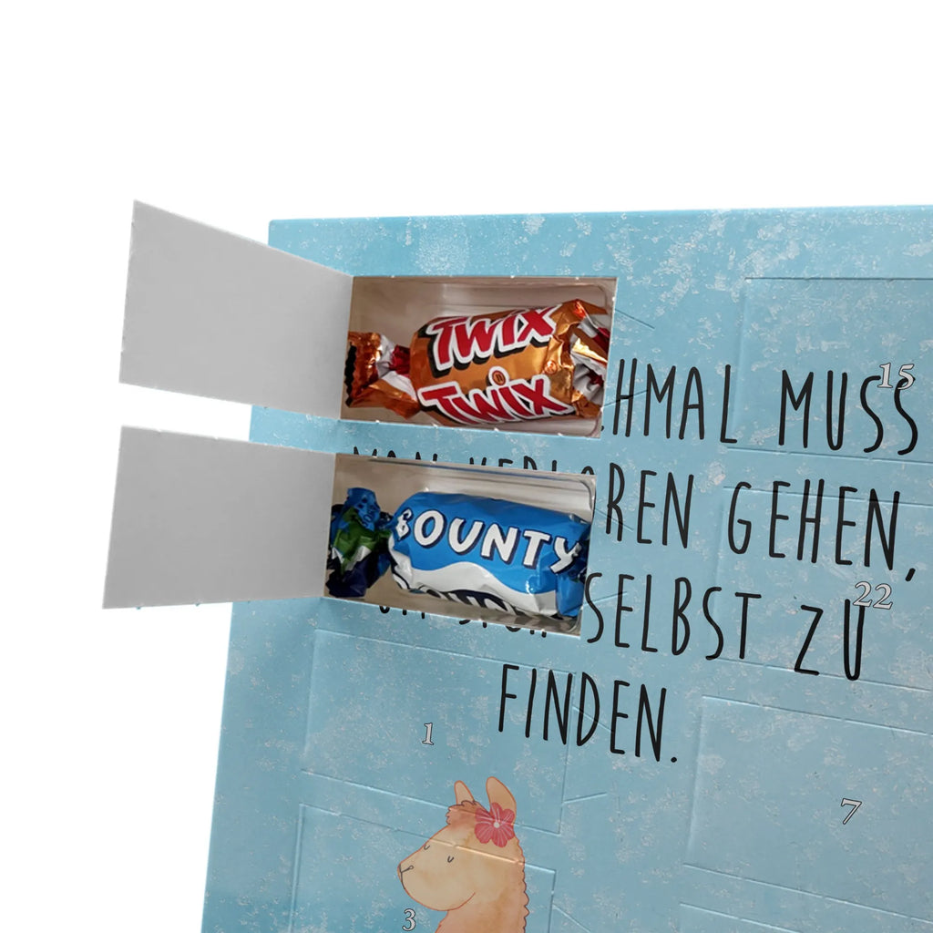  alpaka Dumny Alpaka, Lama