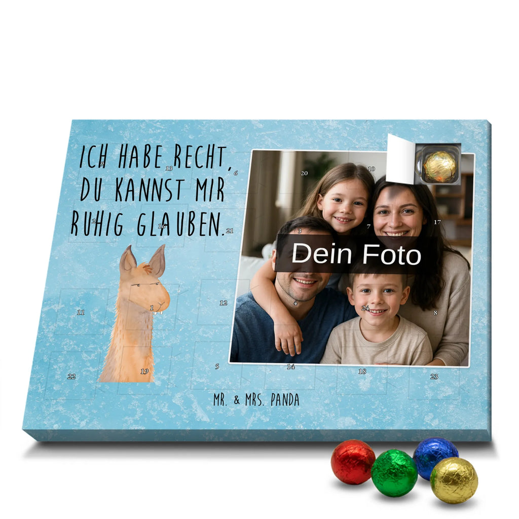  głowa lamy zirytowany Lama, Alpaka