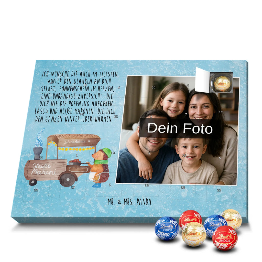  hedgehog Chestnuts Winter, Christmas, Christmas time, snow