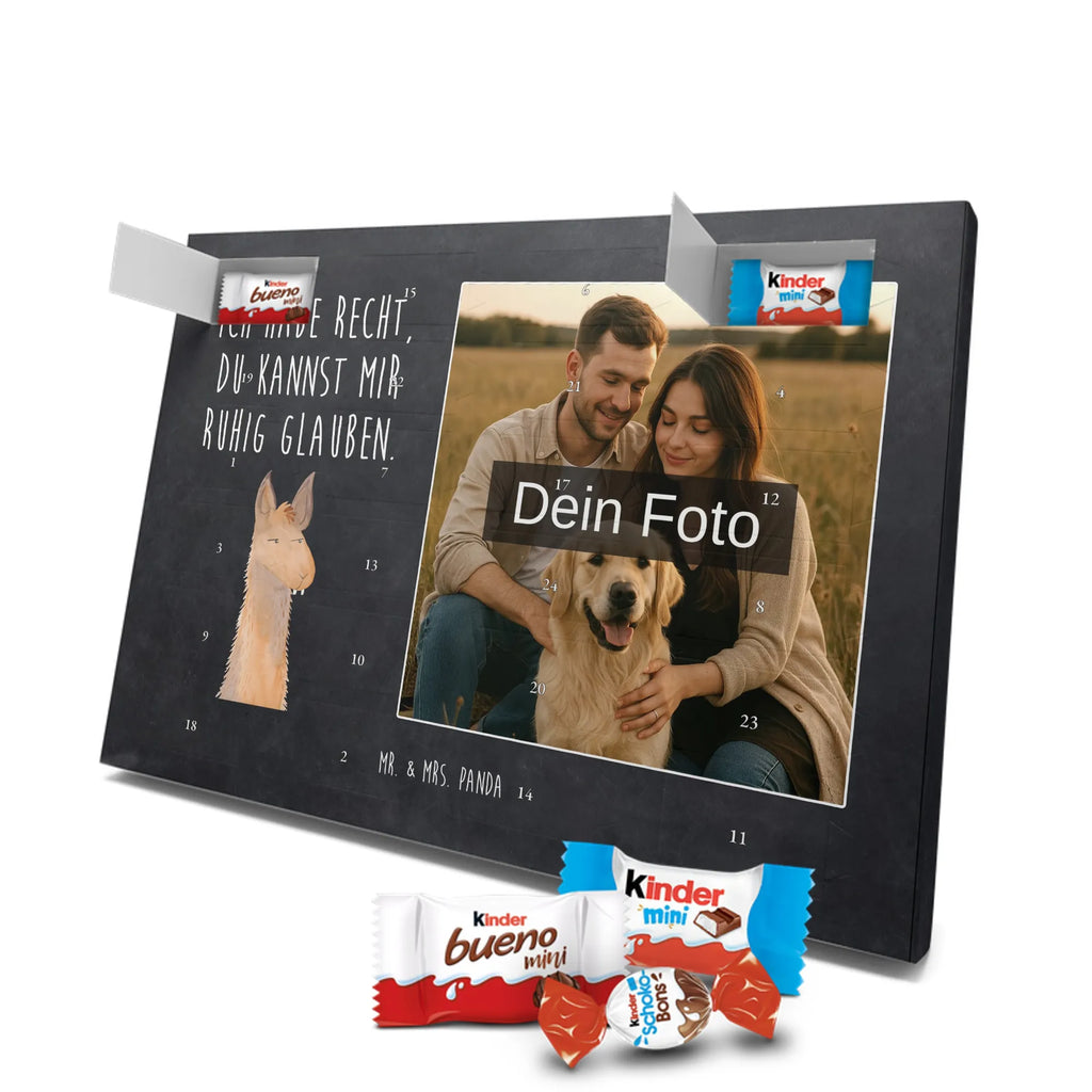  głowa lamy zirytowany Lama, Alpaka