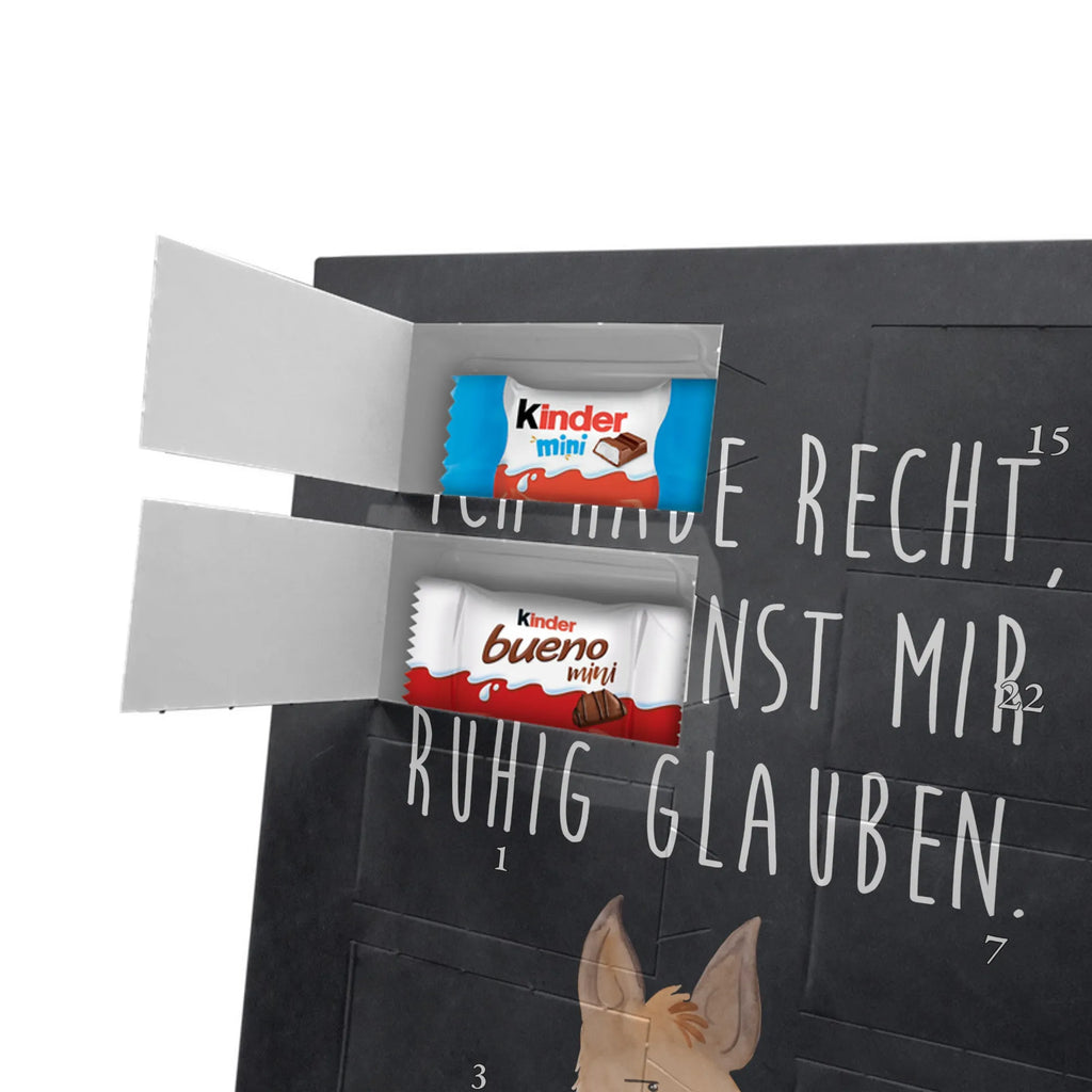  głowa lamy zirytowany Lama, Alpaka