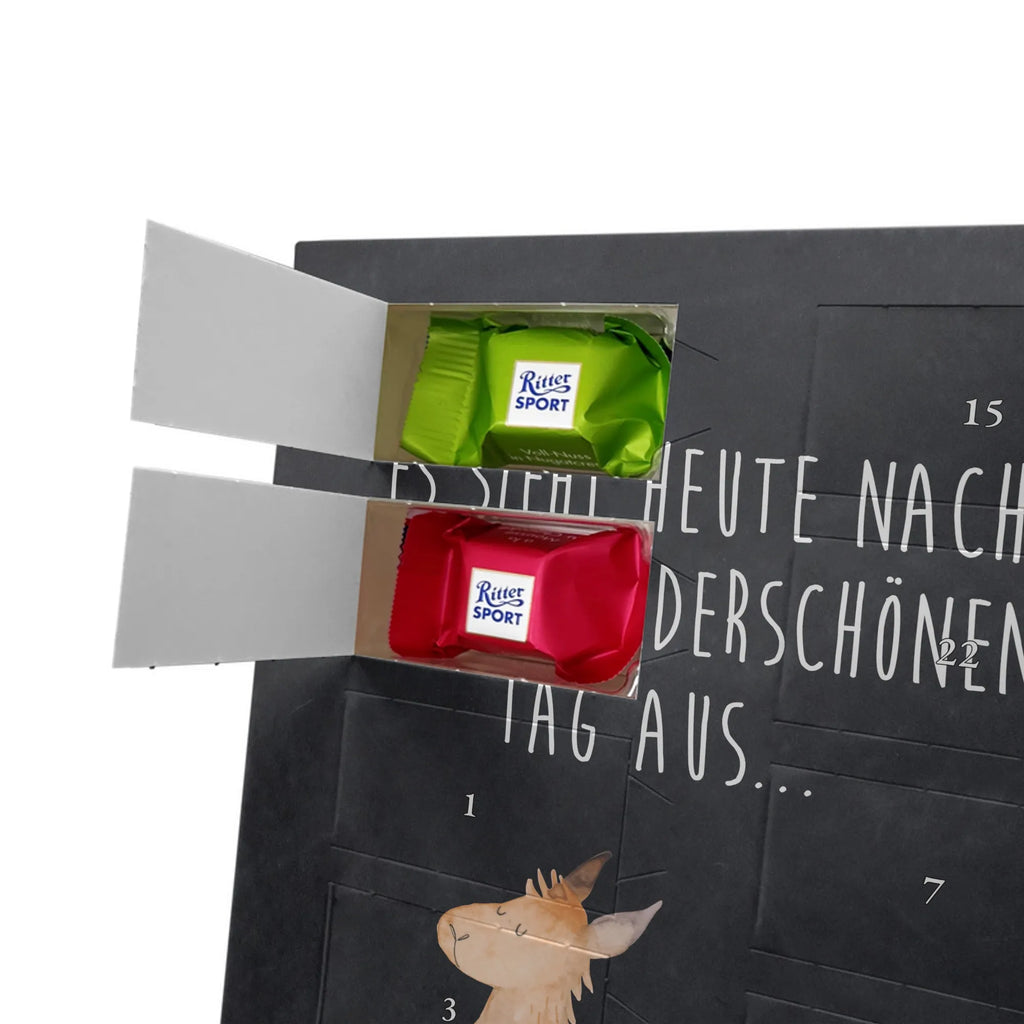  lama Jump Llama, llama, alpaca, trendy animal, new start, happy, happy day, Lama, heartache, girlfriend, luck, start, favourite day, graduation, good morning, exam, llamas