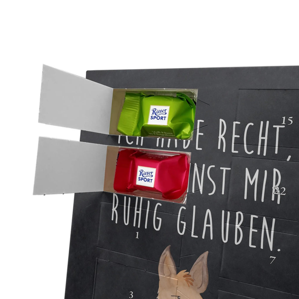  głowa lamy zirytowany Lama, Alpaka