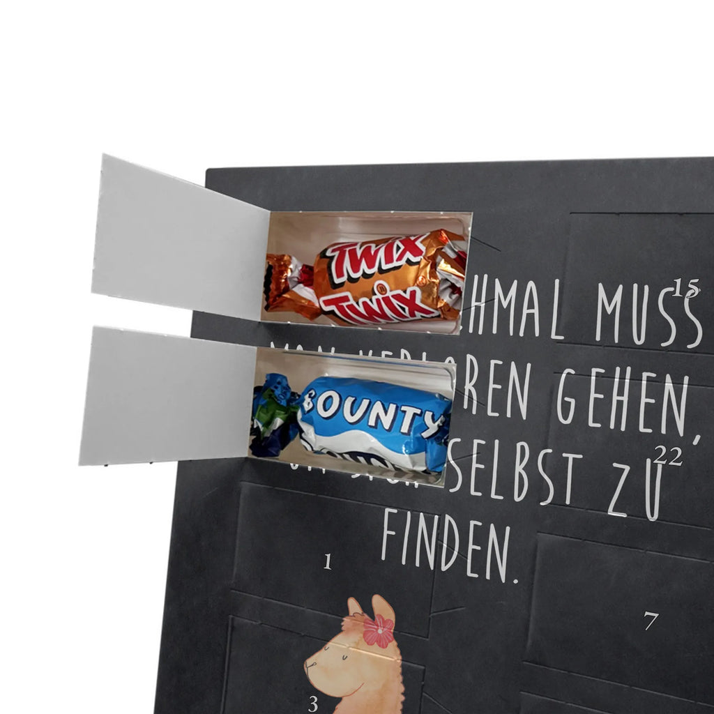  alpaka Dumny Alpaka, Lama