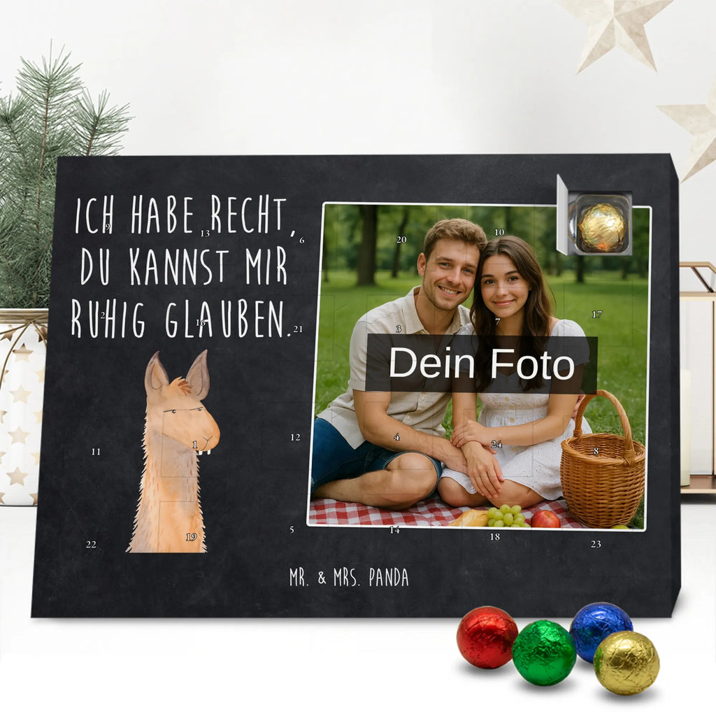  głowa lamy zirytowany Lama, Alpaka